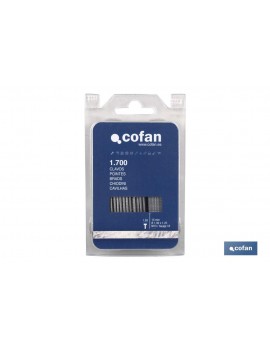 BLISTER CLAVOS SIN CABEZA...