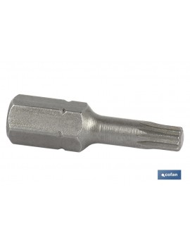 PUNTA XZN EXTRA 1/4 M-10...