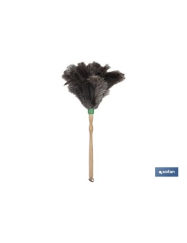 PLUMERO DE PLUMA DE...