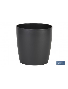 MACETA CAMELIA COLOR...