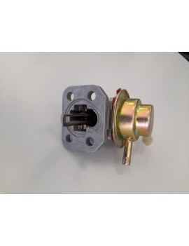 BOMBIN GASOIL PERKINS