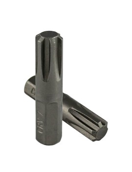 PUNTA BOCA ALLEN 6 RIBE M9