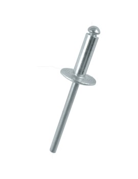 REMACHE UNITARIO DE 4.8X16.9MM