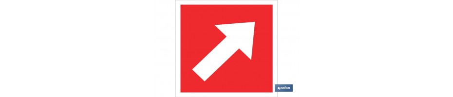 Dirección obligatoria