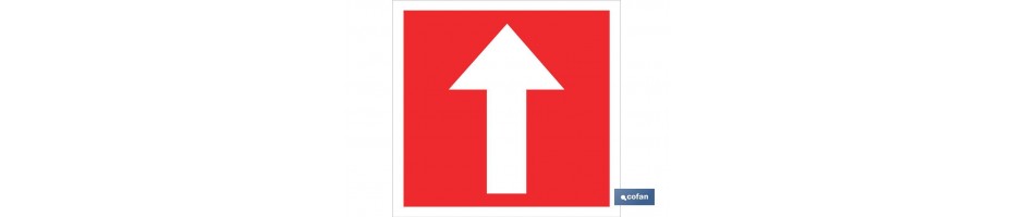 Dirección obligatoria