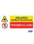 Combinada peligro/prohibición