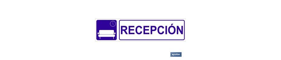 Recepción