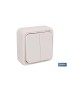 Doble interruptor Superficie