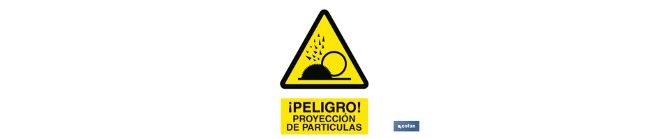 Proyección partículas