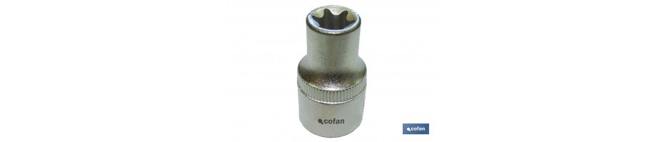 Vaso Torx hembra 1/2