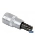 Llaves de vaso punta Torx 1/4