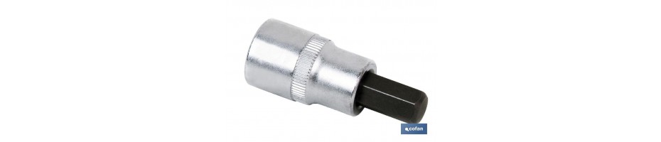 Llaves de vaso punta Hexagonal 1/4