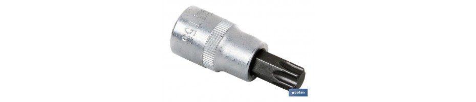 Llaves de vaso punta Torx