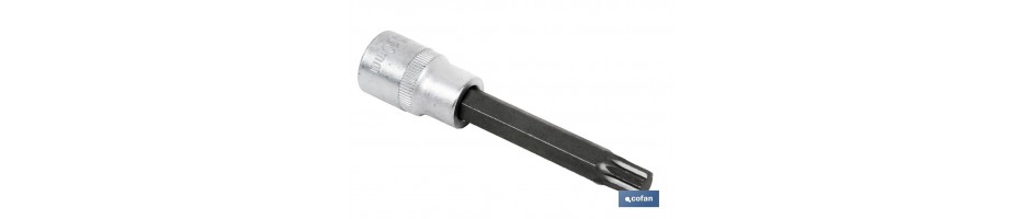 Vaso 1/2 punta extra larga 65mm Torx