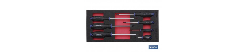 Módulo destornilladores phillips