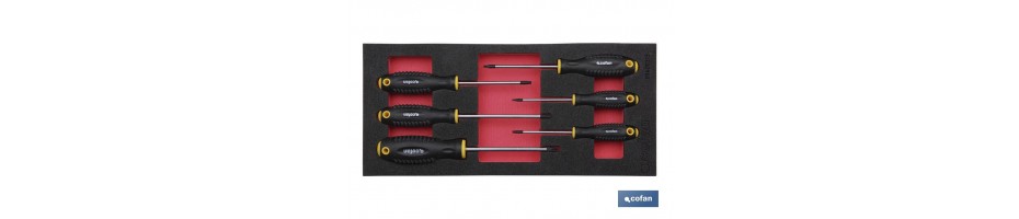 Módulo espuma destornilladores torx