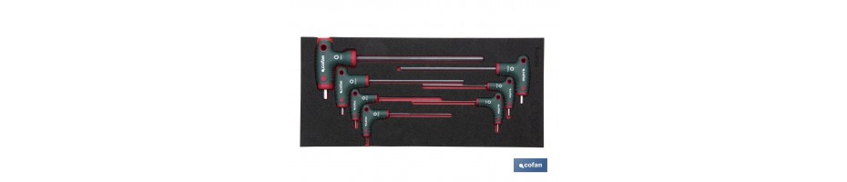 Módulo destor. T punta Allen