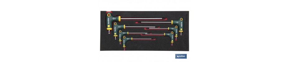 Módulo destornilladores T punta torx