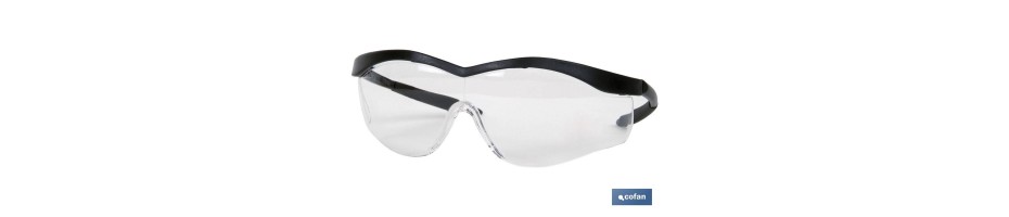 Gafas de Seguridad Mod. Eyes 2000. UNE-EN 166F.