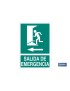 Salida de Emergencia Texto