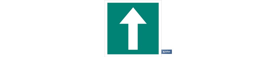Señal de Dirección Evacuación